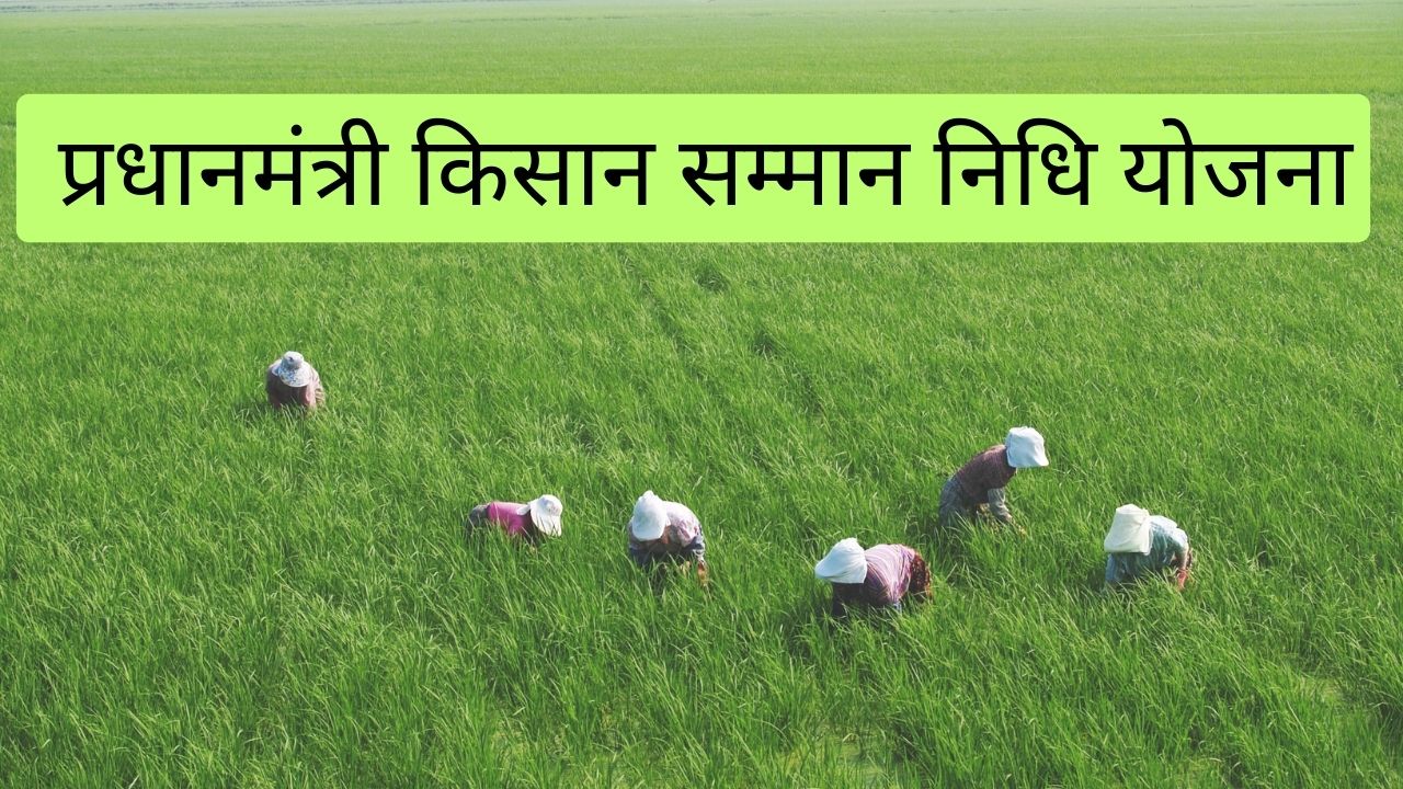 PM Kisan yojna